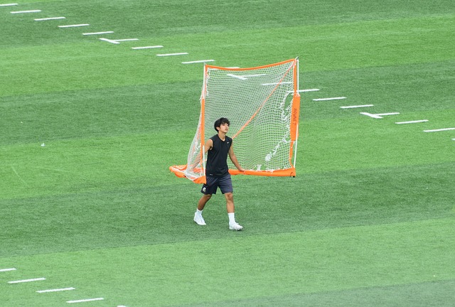 应对策略