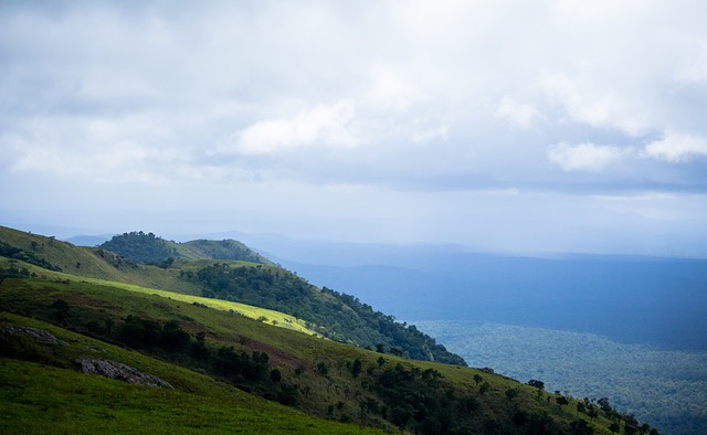 网球选手 网球选手