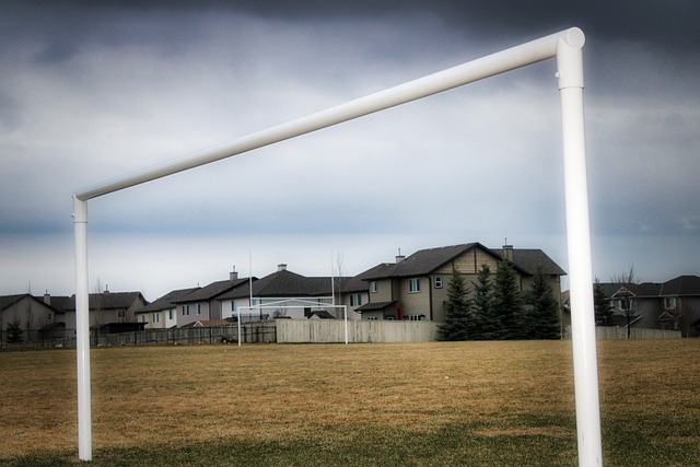 首要任务 首要任务