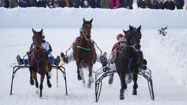 场稳定发挥 场稳定发挥